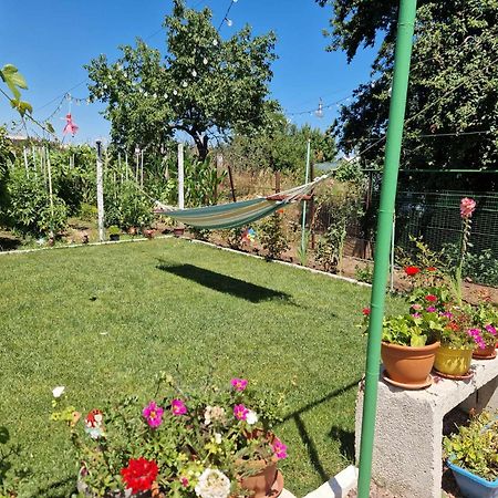 Casa Simona Hotell Două Mai Eksteriør bilde