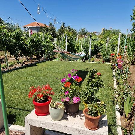 Casa Simona Hotell Două Mai Eksteriør bilde