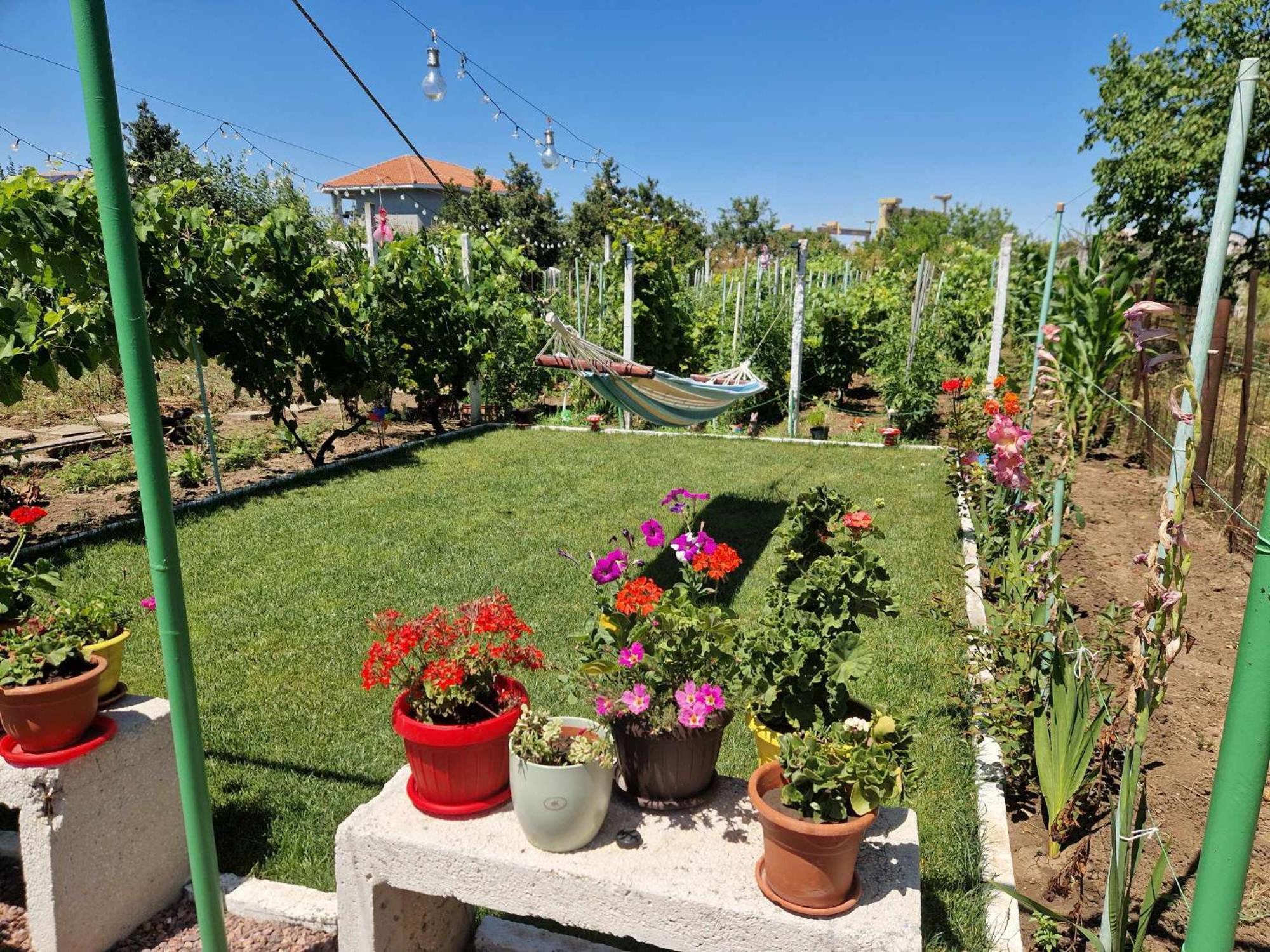 Casa Simona Hotell Două Mai Eksteriør bilde